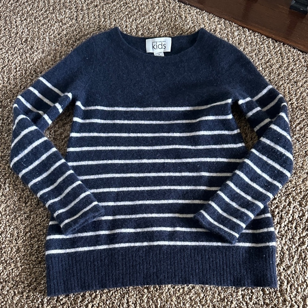 Autumn Cashmere Navy and White Striped Sweater